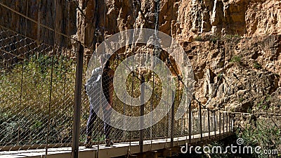 Behind shot of a tourist crossing the suspension bridge in Valencia, Spain on a sunny day Editorial Stock Photo