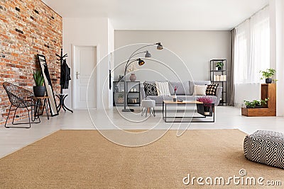 Beige carpet in modern living room interior with grey couch, industrial black metal lamp, wooden coffee table Stock Photo