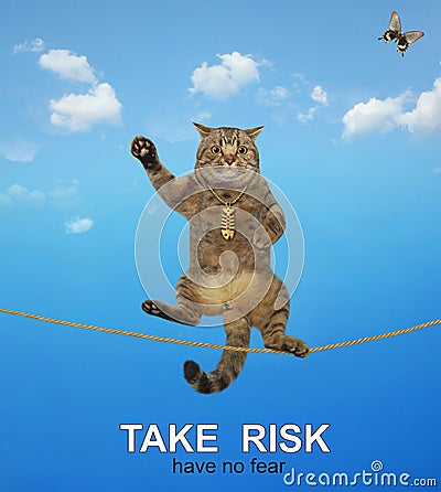 Cat acrobat walking on tightrope Stock Photo