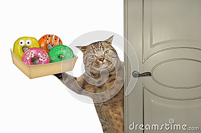 Cat with donuts opens door Stock Photo