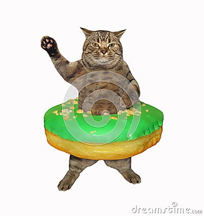 Cat with green donut on its waist Stock Photo