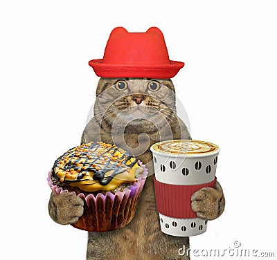 Cat holds orange cupcake and coffee 2 Stock Photo