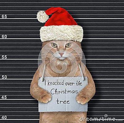 Cat Santa knocked Christmas tree 2 Stock Photo