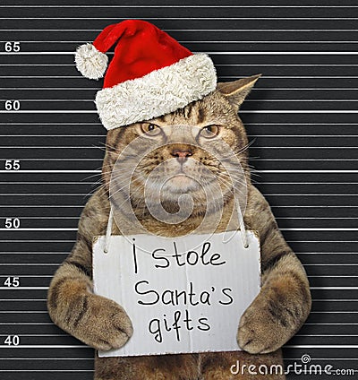 Cat stole Santa`s gifts Stock Photo