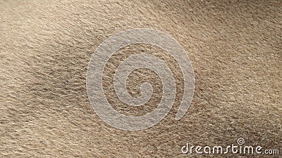 Beige coat fabric, alpaca. Texture of warm wool fabric. Natural wool, beige wool pile fabric. Stock Photo