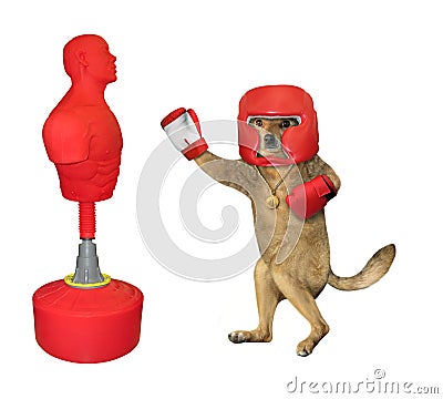 Dog hits red punching bag Stock Photo