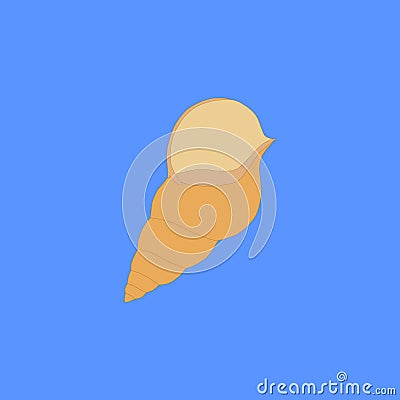 Beige seashell on the blue background Stock Photo