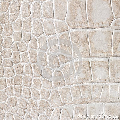 Beige skin of a reptile, crocodile. Texture genuine leather close-up, cognac tones, fashion trend Stock Photo