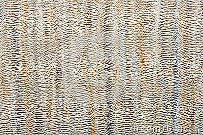 Beige wallpaper texture Stock Photo