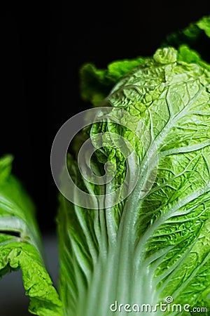 Beijing cabbage close-up Stock Photo
