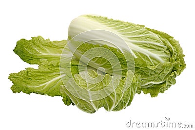 Beijing cabbage, isolated Stock Photo