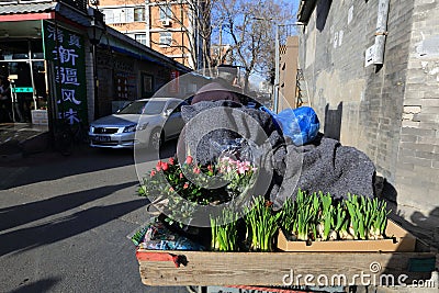 Beijingâ€™s Hutong Editorial Stock Photo