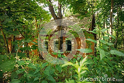 Belarus. Abandoned House Overgrown With Trees And Vegetation In Chernobyl Resettlement Zone. Chornobyl Catastrophe Stock Photo
