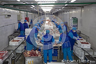 Meat production. workers behind a conveyor belt at a meat factory Editorial Stock Photo