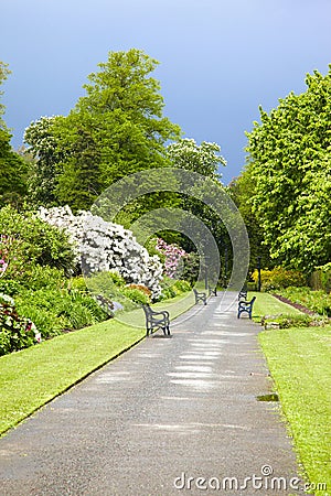 Belfast Botanic Gardens Stock Photo