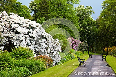 Belfast Botanic Gardens Stock Photo