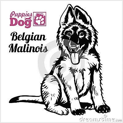 Belgian Malinois puppy sitting. Drawing by hand, sketch. Engraving style, black and white vector image. Vector Illustration