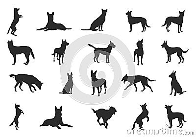 Belgian malinois silhouette, Belgian malinois dog silhouettes, Dog silhouettes, Dog icon, Belgian malinois clipart, Dog vector Vector Illustration