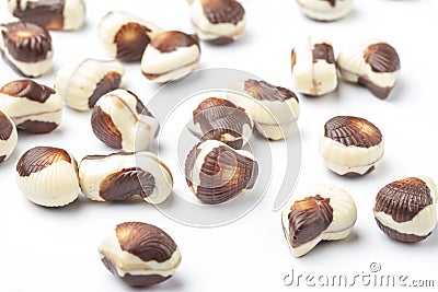 Belgian seashells traditional chocolate candies Stock Photo