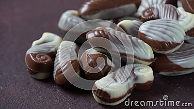 Belgian seashells traditional chocolate candies. Belgian milk chocolate bonbons shaped as seashells with clams, seahorses Stock Photo