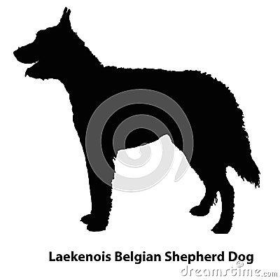 Belgian shepherd dog breeds vector silhouettes set Vector Illustration