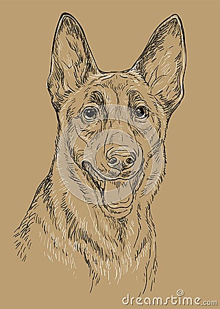 Belgian shepherd dog vector hand drawing vector brown Vector Illustration