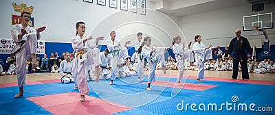 Kids and Children Martial Arts Sport Demonstration. Kyokushin Belgrade Trophy Editorial Stock Photo