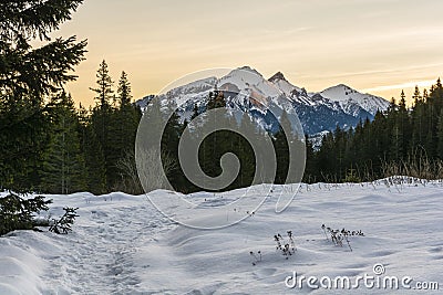 Belianske Tatras in the morning seen from the clearing Stock Photo