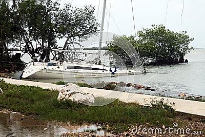 Belize sunk boat Editorial Stock Photo