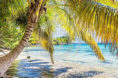 Belize, a tropical paradise in Central America. Stock Photo
