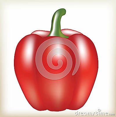 Bell pepper Vector Illustration