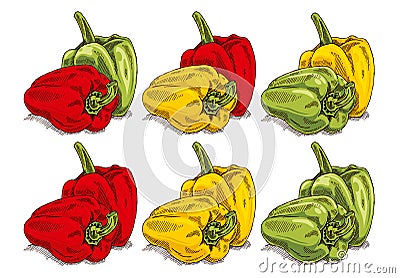 Bell peppers Vector Illustration