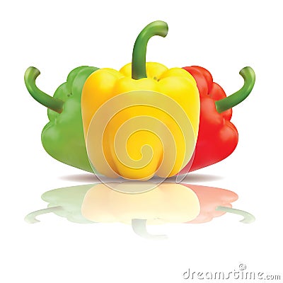 Bell peppers with reflection Vector Illustration