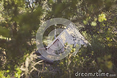 A bell tent among the tree branches in the forest Stock Photo