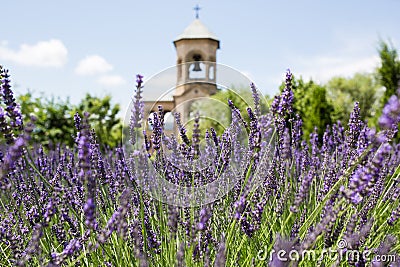 The Tbilisi Holy Trinity Cathedral main Georgian Orthodox Christian cathedral, located in Tbilisi, capital of Georgia Stock Photo