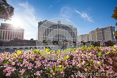 Bellagio Hotel pond and flowers Editorial Stock Photo