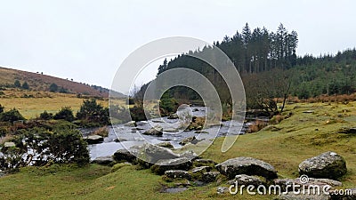 Bellever Forest, Dartmoor National Park, Devon,uK Stock Photo