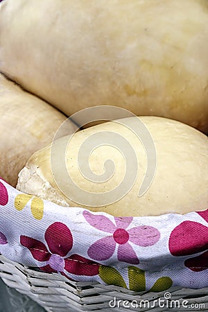 Bellows cheese-1 Stock Photo