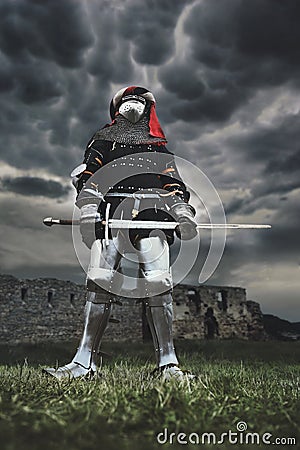 Medieval knight posing with sword. Stock Photo