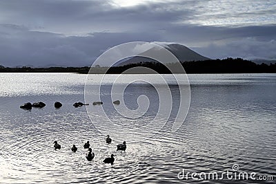 Beltra Lough Stock Photo