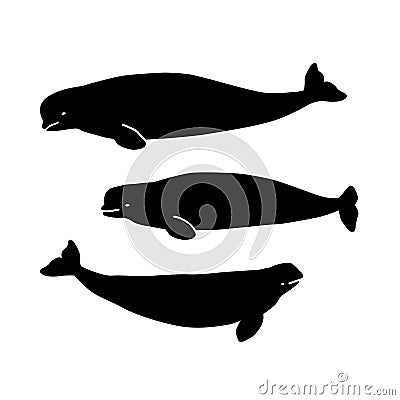 Beluga figures for the background, laser cutting etc. Vector Illustration