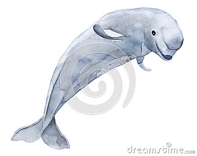 Beluga toothed whale from the family of narwhal. Watercolor illustration. I Cartoon Illustration