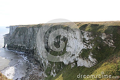 Bempton Cliffs nature reserve, landscape of Yorkshire Coast with seabirds circling by the cliff edge Stock Photo