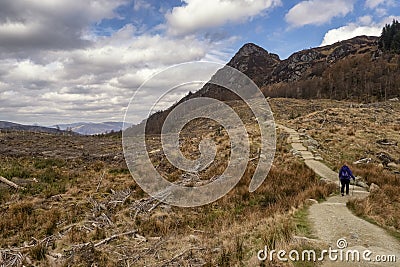Ben A`an is a hill in the Trossachs in Scotland Editorial Stock Photo