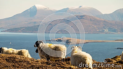 Ben Tianavaig mountain hike in the Scottish Highlands on a sunny afternoon on the Isle of Skye, United Kingdom. Stock Photo