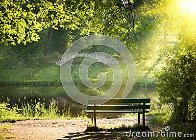 Bench Stock Photo