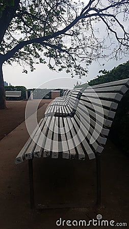 Bench alley under tree in the park Stock Photo