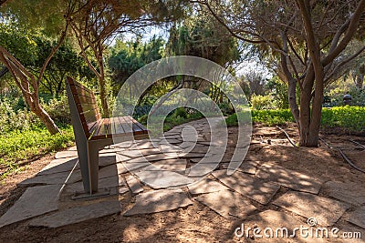 A bench along a path shaded by tall trees, Abu Dhabi Stock Photo