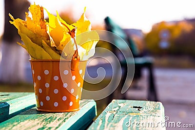 Hello, autumn. bucket with fallen autumn leaves. Stock Photo