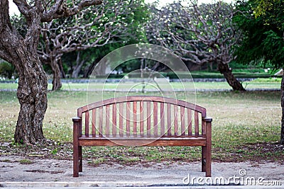 The Bench with backrest roadside in park. Stock Photo